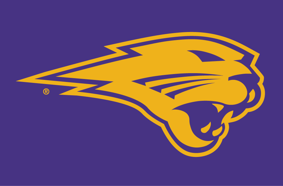 Northern Iowa Panthers 2002-Pres Partial Logo v3 iron on transfers for clothing